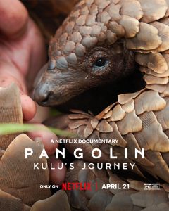 Pangolin: Kulu’s Journey 2025