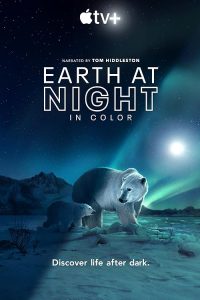 Earth at Night in Color 2020