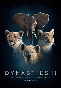 Dynasties II 2022