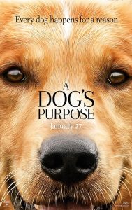 A Dog's Purpose 2017