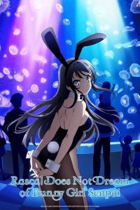 Rascal Does Not Dream of Bunny Girl Senpai 2018 راسکال خواب دختر خرگوشی سنپای را نمی بیند